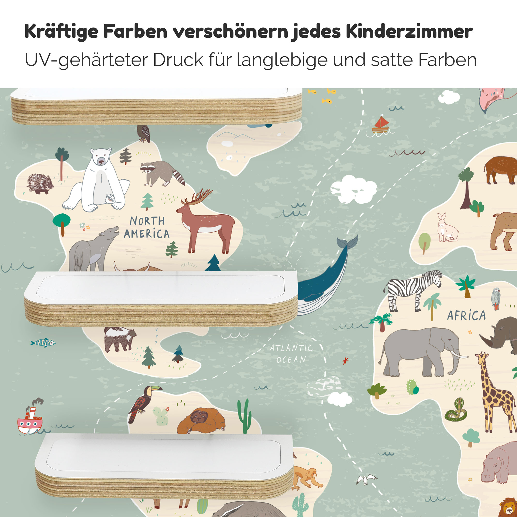 Regal für Tonies, 'Atlas', mittel